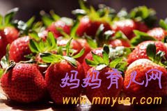 春季摘草莓预防小儿感冒腹泻 健康出游享受好春光