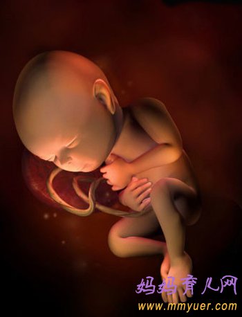 孕妇四维彩超图片 1-40周胎儿发育过程图 太震憾了!