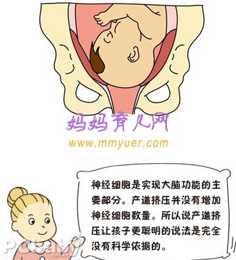 順產(chǎn)寶寶更聰明 剖腹產(chǎn)孩子更笨嗎？