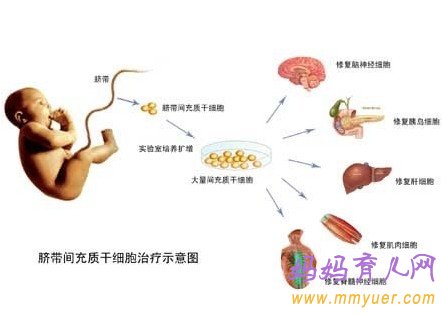 新生兒臍帶脫落后怎么護(hù)理？