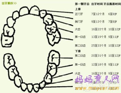 聊聊關(guān)于寶寶出牙的那些事兒