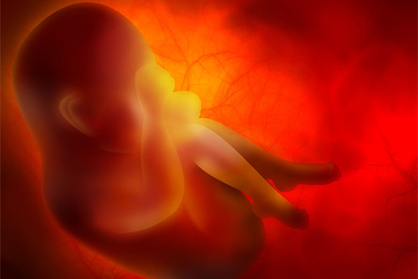 【情】胎儿停止发育的原因 如何防止胎儿停育？