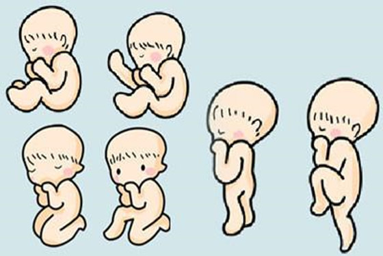 【情】胎儿在肚子里的姿势 记住这种姿势才正常