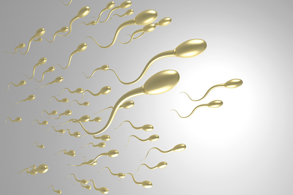 【亲】 精子不好导致胎停吗 关于精子你真的了解多少？	