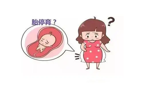 原来胎停育是有征兆的 五种信号是胎停育提前预警