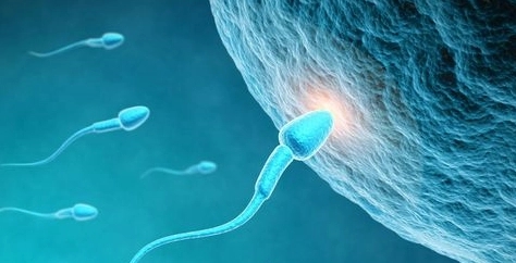 男性y精子怎么增加 如何提高y精子质量？