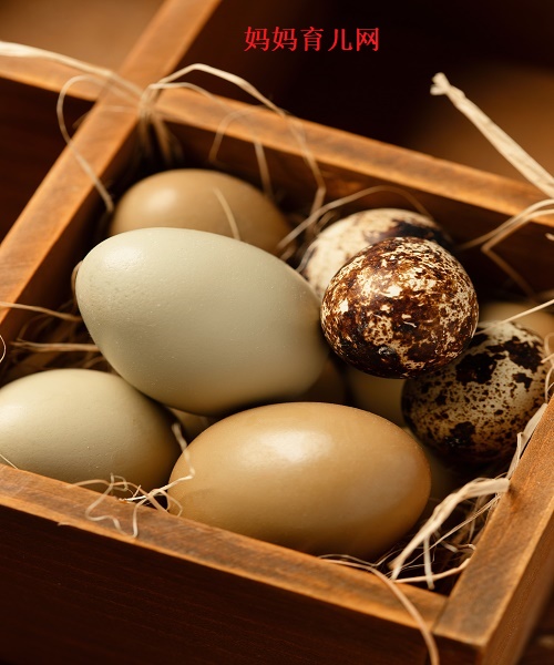 鹌鹑蛋和鸡蛋哪个营养价值高