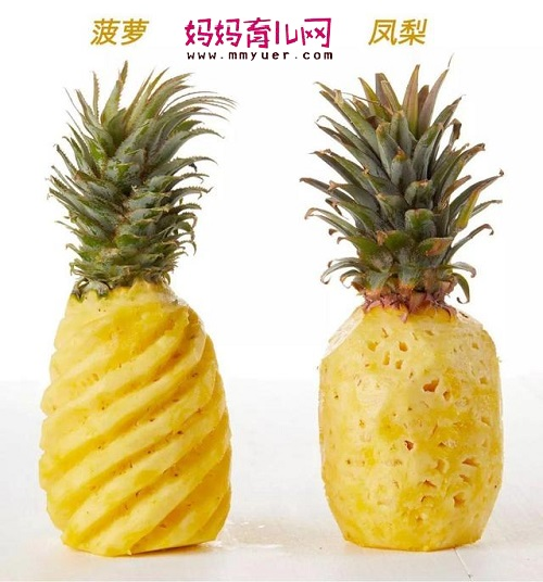 菠萝和凤梨的区别图片