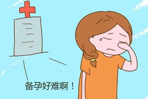 女人备孕多久没怀上就是不孕？这些常识女人必须知道