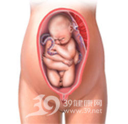 六个月的胎儿是什么样子 六个月胎儿发育图