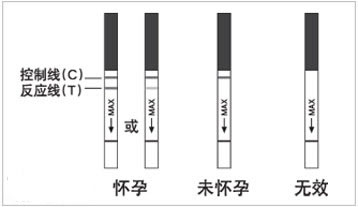 早孕试纸准吗？早孕试纸弱阳性是什么意思？