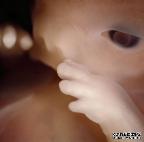 胎儿发育过程b超图 男女胎儿b超发育全过程高清图