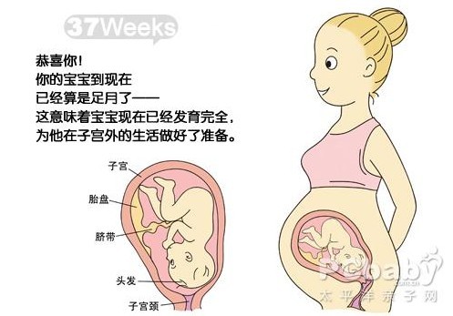 【怀孕37周】怀孕37周胎儿图 怀孕37周彩超b超图胎动及注意事项