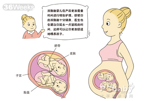 【怀孕36周】怀孕36周胎儿图 胎动肚子疼水肿等注意事项