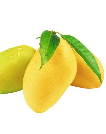 芒果的功效与作用 芒果吃多了会怎么样 孕妇能吃芒果吗？