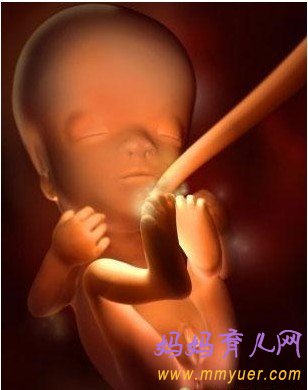 怀孕10周胎儿发育过程3D图