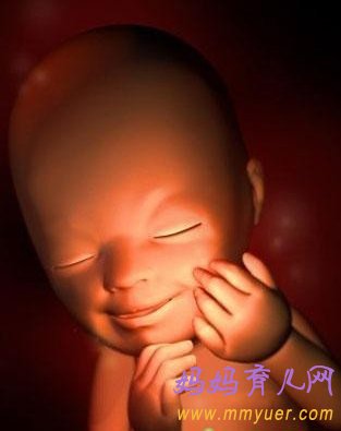 怀孕21周胎儿发育过程3D图
