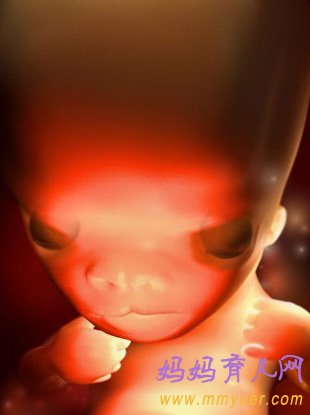 怀孕7周胎儿发育过程3D图