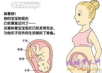 怀孕十个月胎儿图 孕10个月吃什么好 要注意什么