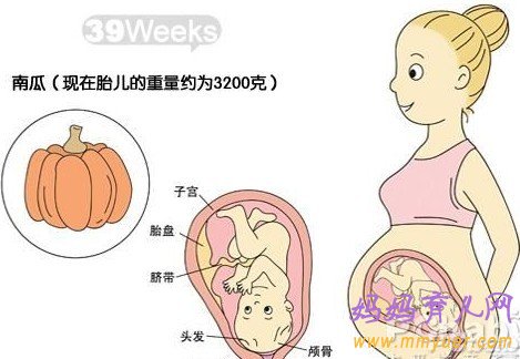 怀孕十个月胎儿图 孕10个月吃什么好 要注意什么