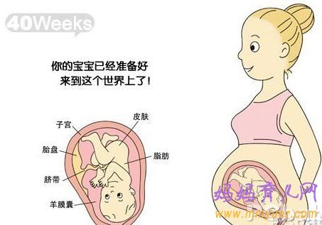 怀孕十个月胎儿图