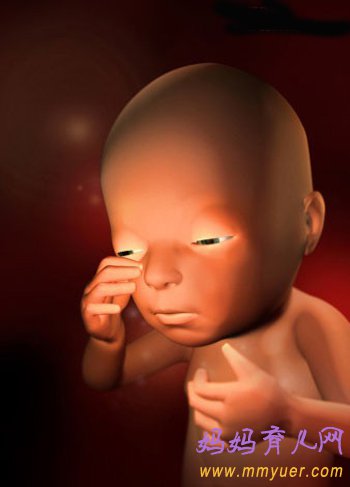 四维彩超图片 1-40周胎儿发育过程图 太震憾了！