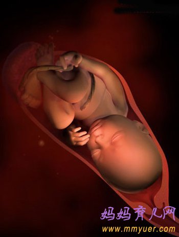 四维彩超图片 1-40周胎儿发育过程图 太震憾了！