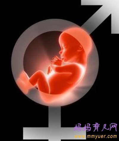 胎儿性别是什么时候决定的？