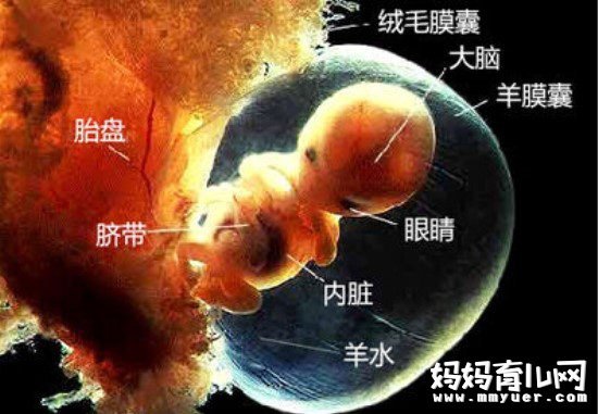 羊水过少让胎儿很受伤 孕期羊水过少该怎么办？