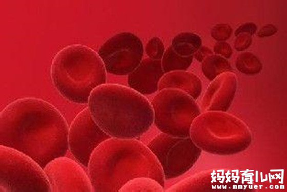 血常规检查什么项目 血常规项目都代表什么
