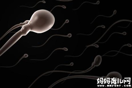 据说排卵日怀孕的机率99% 排卵期一定会怀孕吗