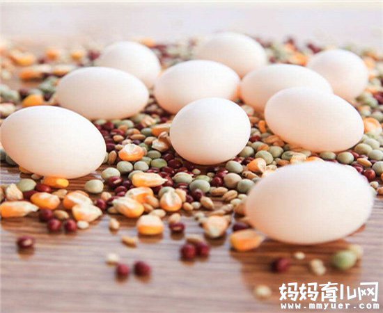 鸽子蛋具有很高的营养价值 孕妇可以吃鸽子蛋