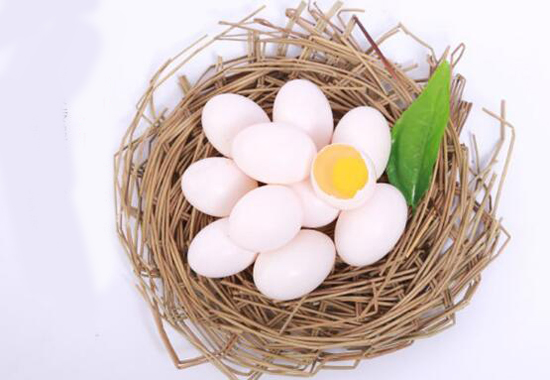 鸽子蛋的营养价值 孕妇可以吃鸽子蛋吗