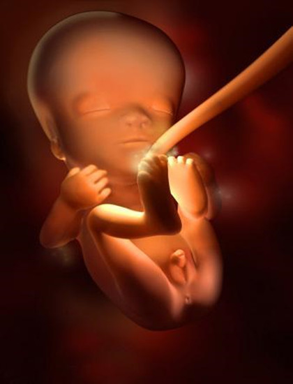 怀孕1一9月胎儿图片