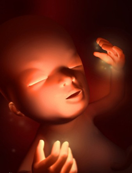 怀孕1一9月胎儿图片