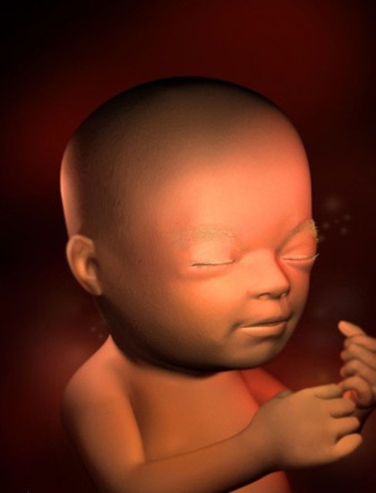 孕二十三周胎儿真实图图片