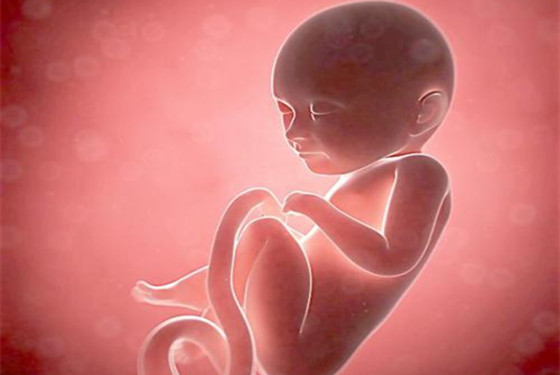 怀孕13周-40周双顶径和股骨长标准图(3)