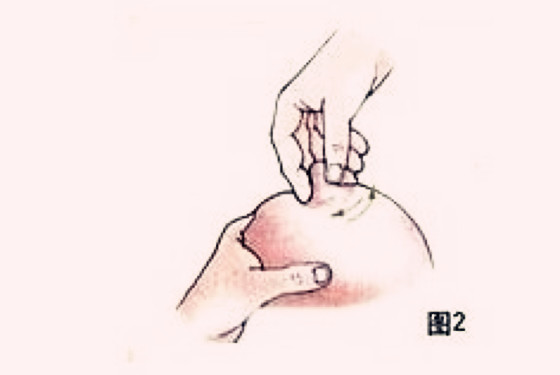 产妇催奶手法图片