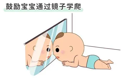 宝宝不爬是不是大脑发育不好