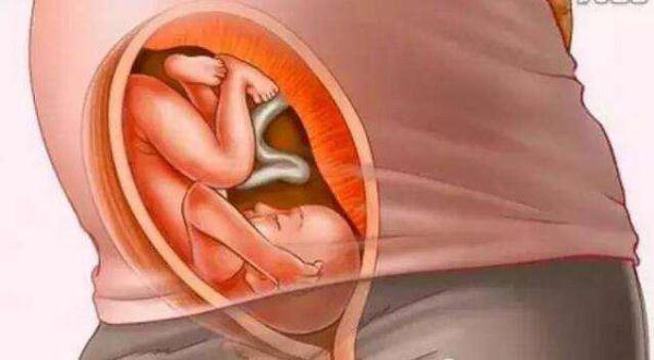 怀胎十月的过程，十月怀胎全过程大揭秘