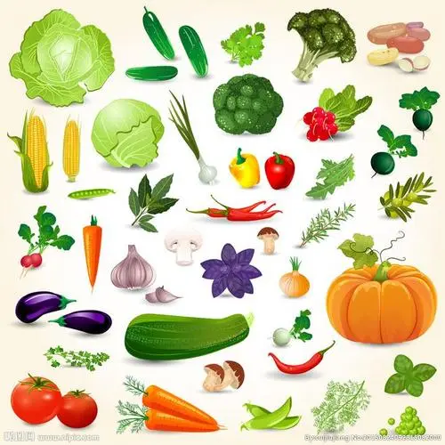 哪些蔬菜刮油减肥 十种刮油暴瘦的蔬菜