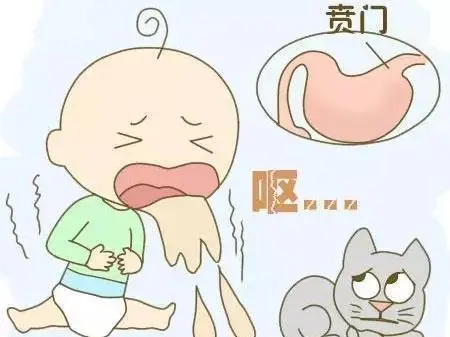 婴儿吐奶一般几个月就不吐了