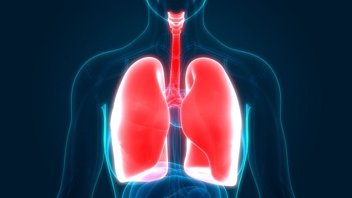 清肺毒最快的偏方，6种清肺化痰的土方法