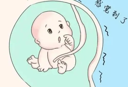 孕期可以同房吗 怀孕期间同房宝宝是什么感受？