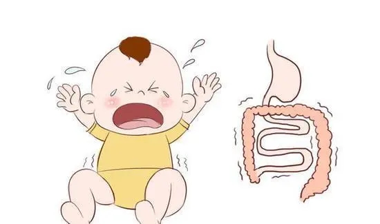 如何判断婴儿是否拉肚子